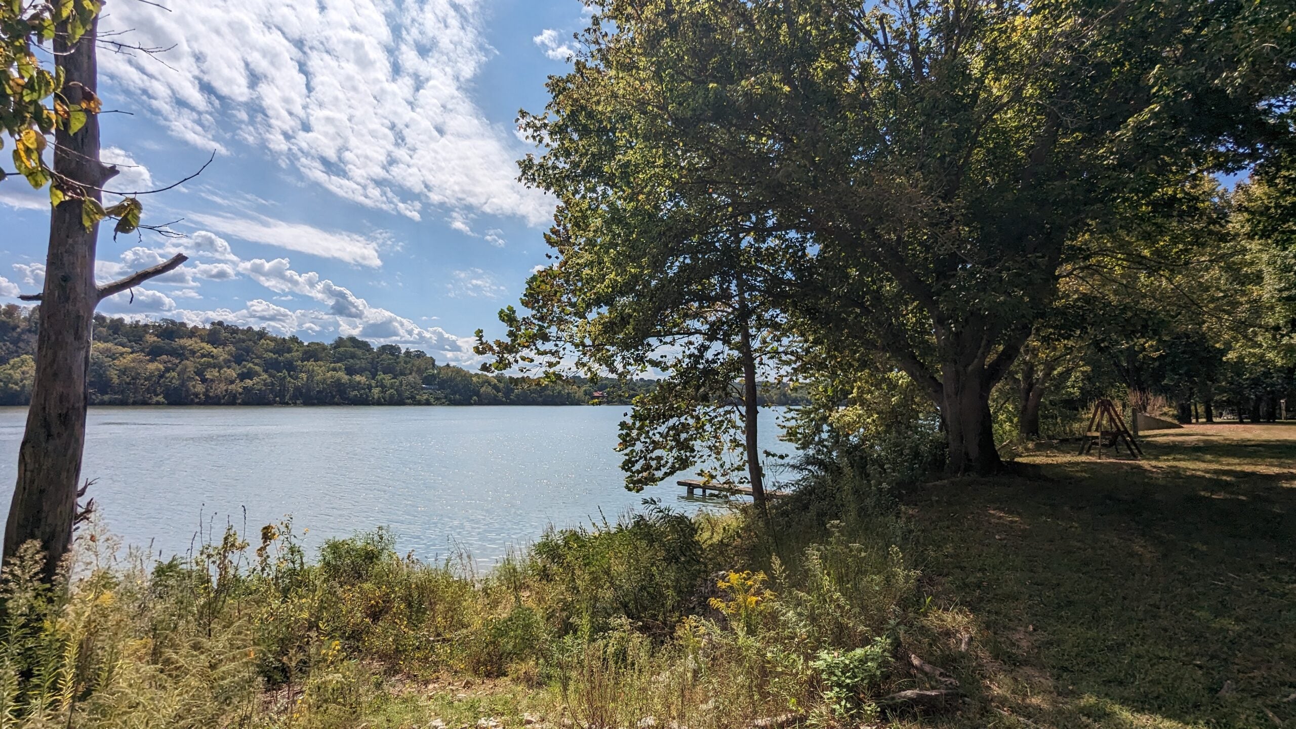 A calm river bordered by trees and shrubs, with sunlight reflecting on the water and a blue sky with scattered clouds overhead.
